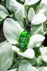 Midnight Oil · Rejuvenating Night Oil